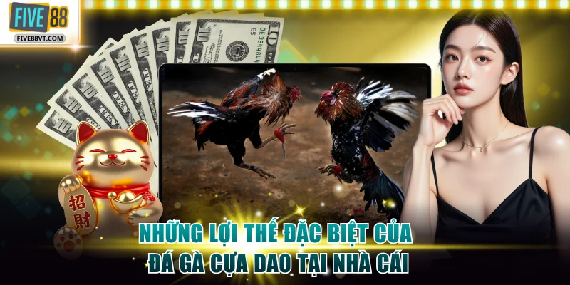 Những lợi thế đặc biệt của đá gà cựa dao tại nhà cái